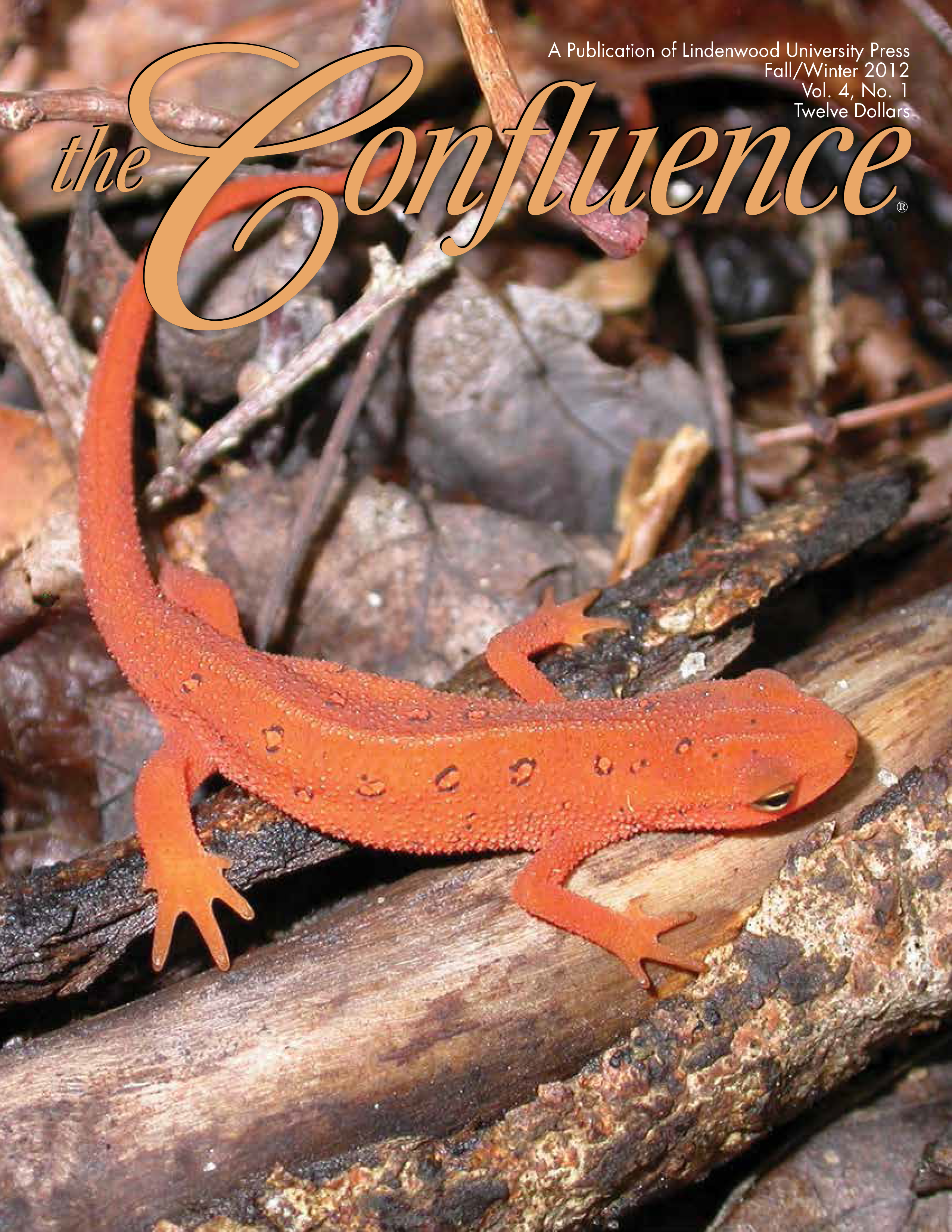 Title details for The Confluence, Fall/Winter 2012 Issue by Lindenwood University - Available